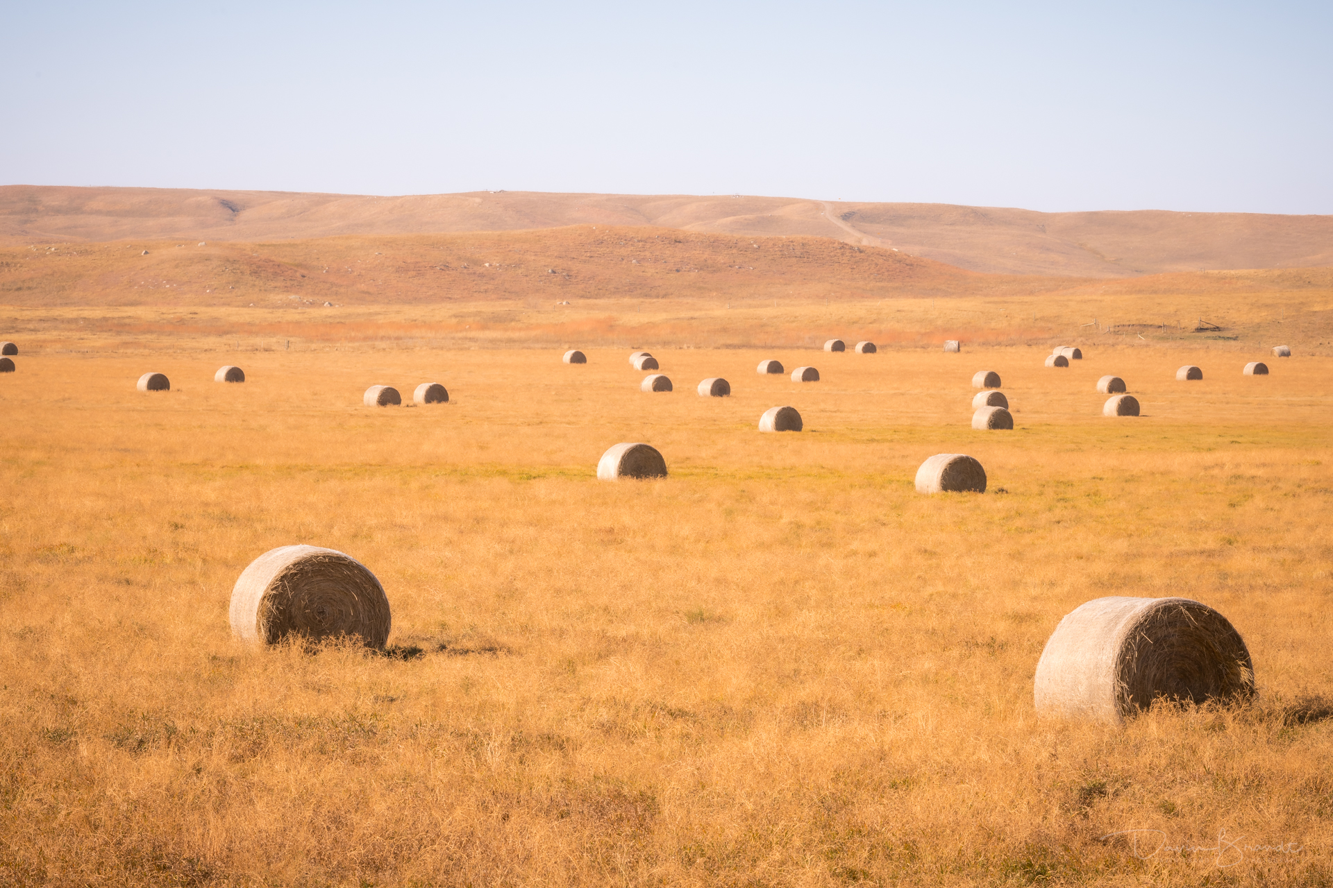 landscape with haybales.