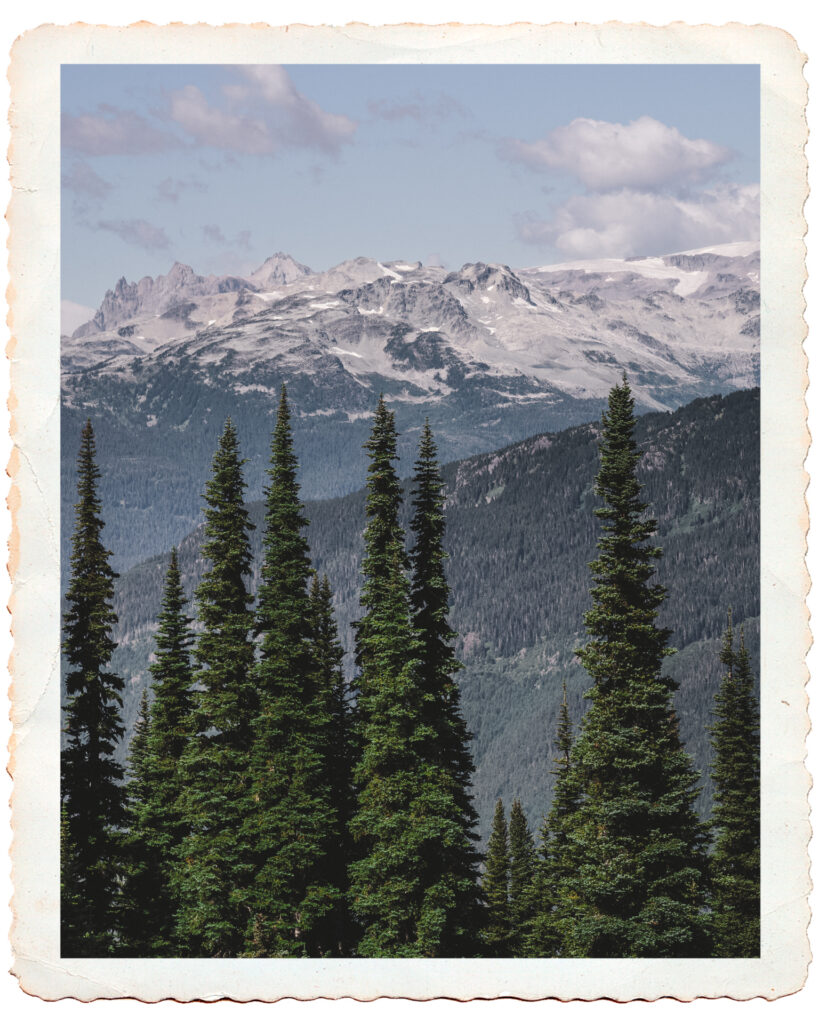 Custom Retro Postcard